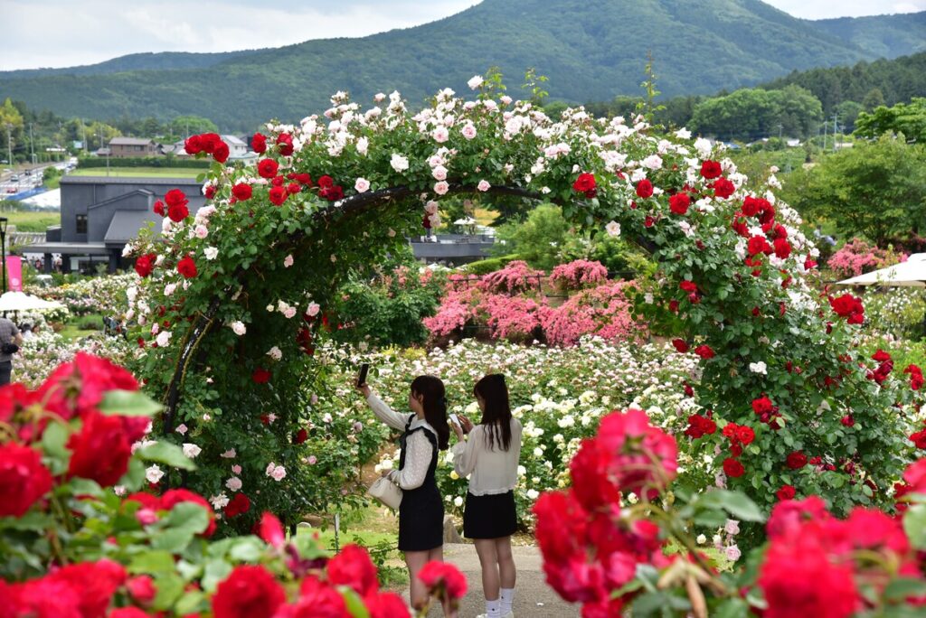 優秀賞『お洒落なふたり』告耕二