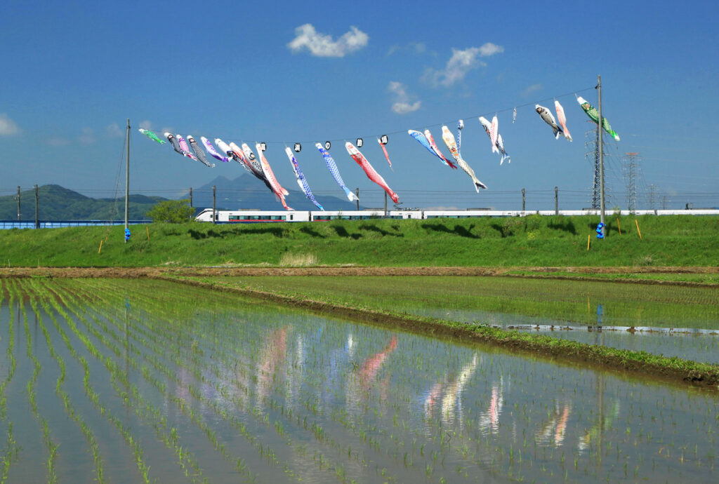 『五月の風』田井俊夫