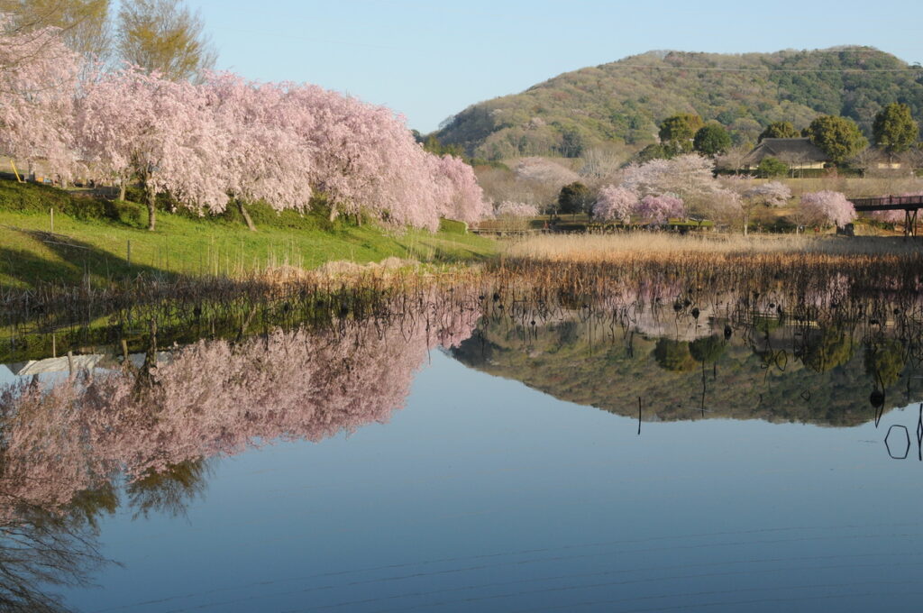 『静寂』小林優