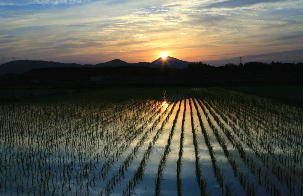 『ダイヤモンド筑波』田井俊夫