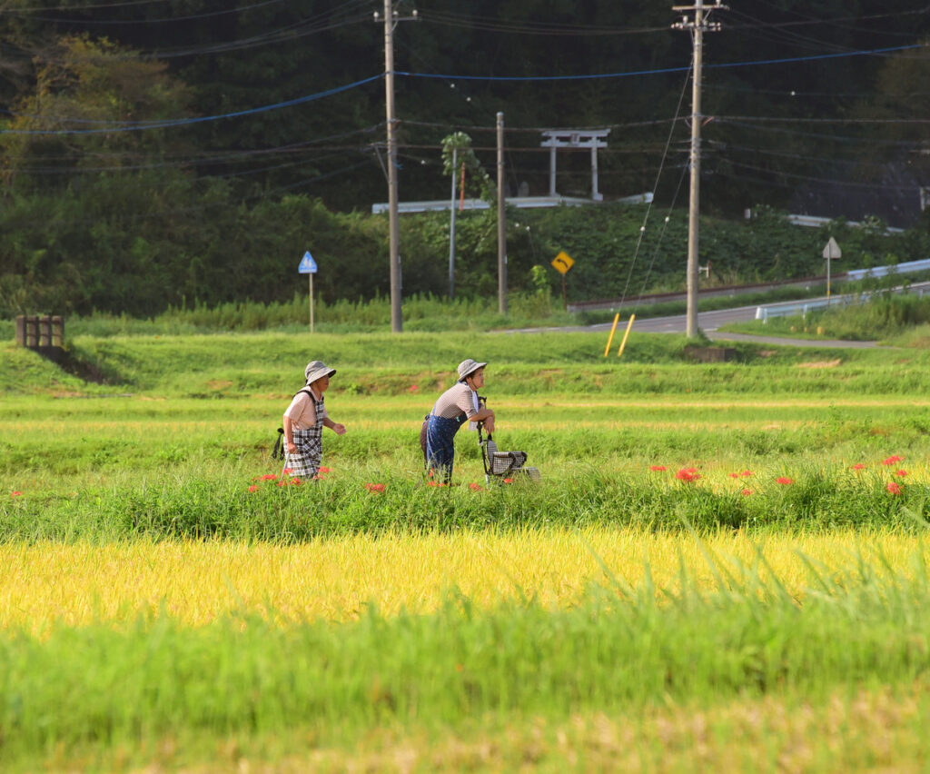『郷の秋』上杉勝義