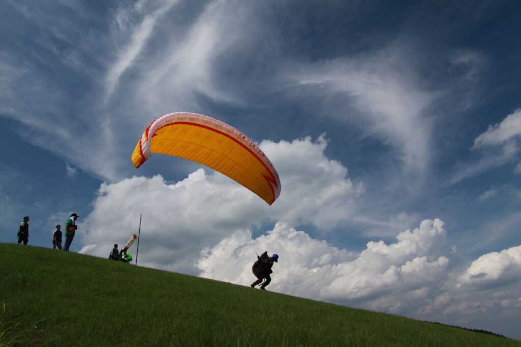 観光協会長賞『遊泳日和』海老原清