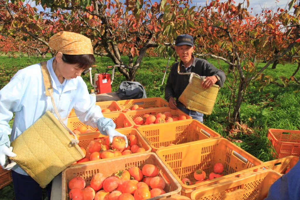 市長賞『収穫の里』藤井浩一