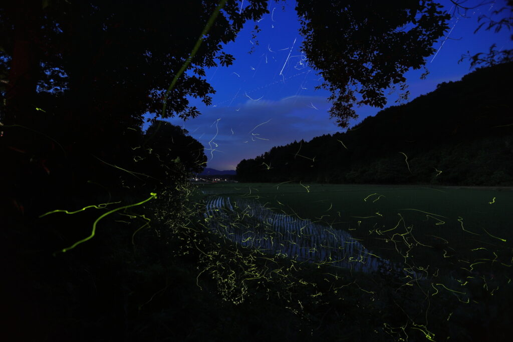 優秀賞『早苗田の光跡』鈴木憲一