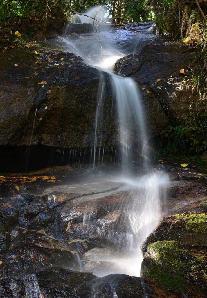 『信仰の流れ』小塙馨