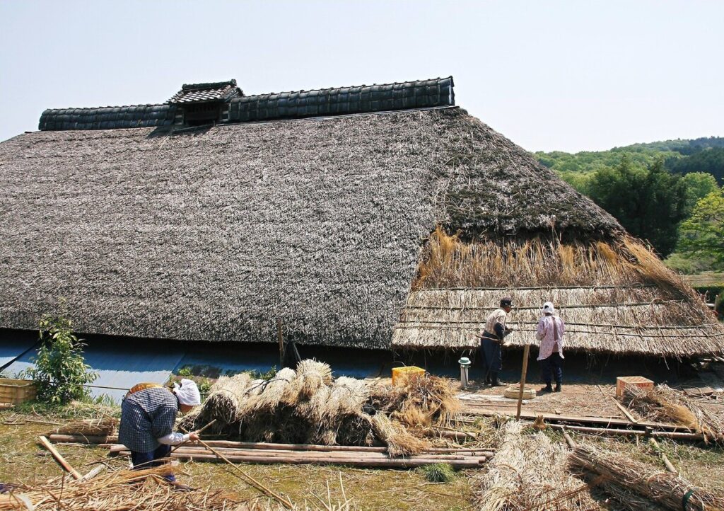 『茅葺屋根の修理』