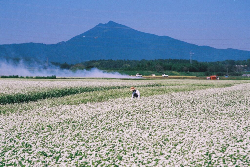 『蕎麦香ほる里』