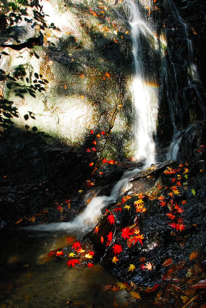 観光協会長賞『虹で映える馬滝』