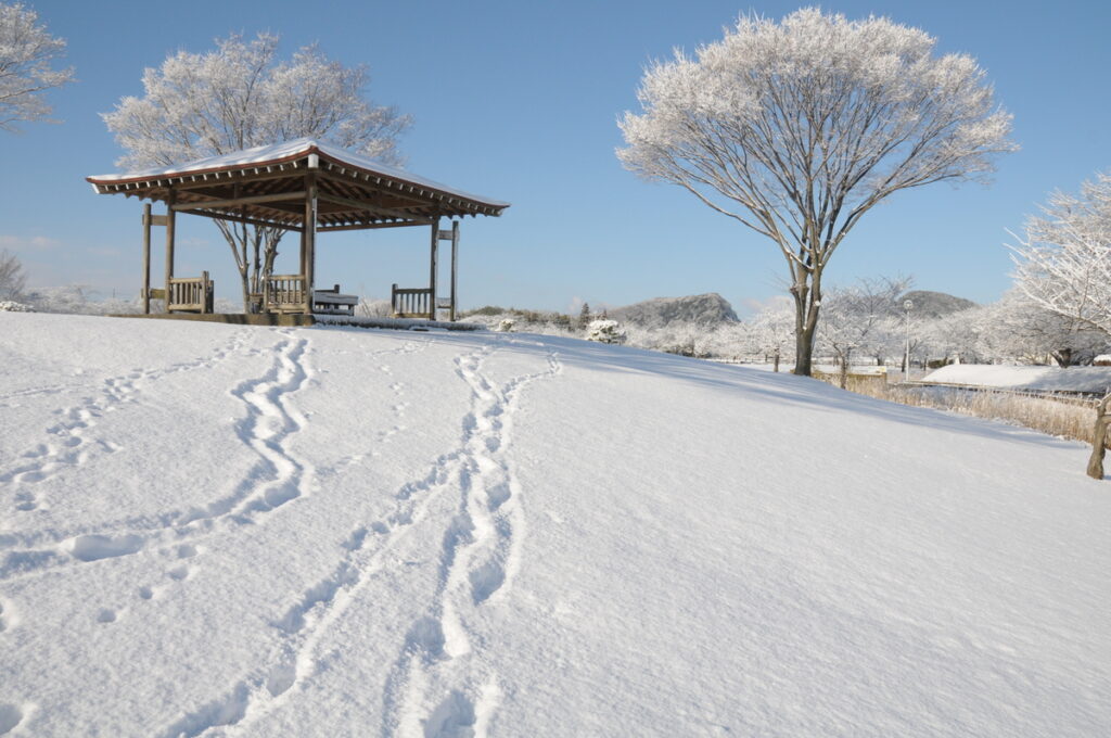 『初雪』杉山国雄