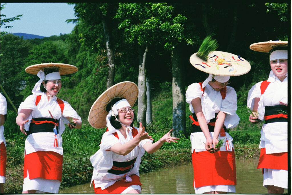 『「青春謳歌」』