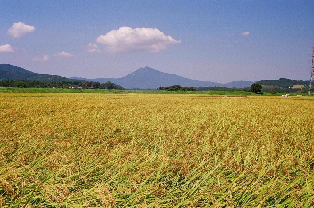 『秋景』石橋重忠