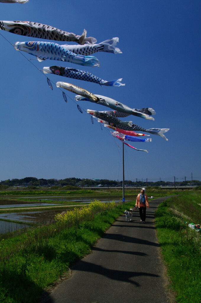 『五月の風』田井俊夫