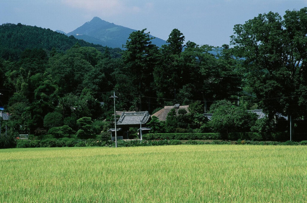 『旧家』山口勝己