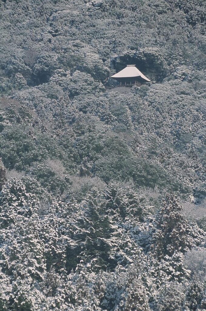 観光協会長賞『峰寺山（西光院）雪化粧』額賀好光